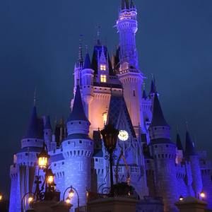 Meet your Posher, Brandy